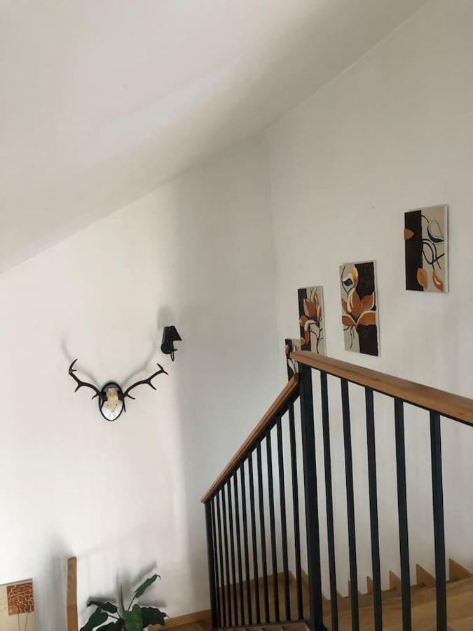 Vivienda Rural El Ejido Villa El Real de la Jara Dış mekan fotoğraf